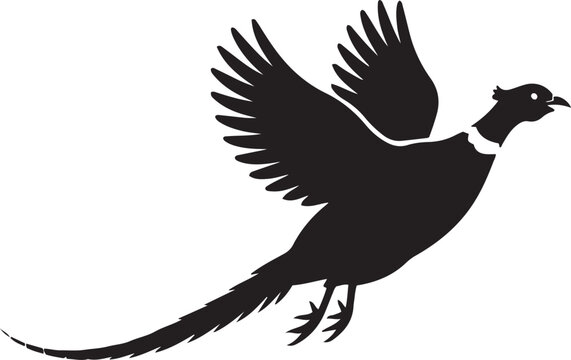 Vector art of a flying pheasant black and white silhouette 
