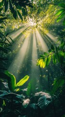 Sunlight streams through a lush tropical forest canopy.