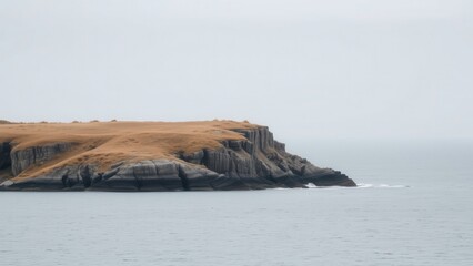 Misty Coastal Cliff with Golden Grass
