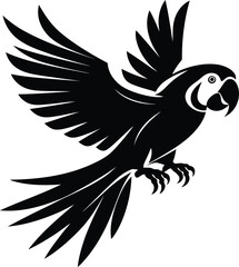 Obraz premium Black parrot in flight isolated on white background