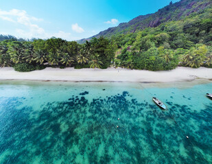 Aerial view of an empty tropical beach