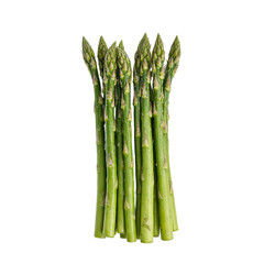 Fresh green asparagus spears standing tall showcasing their vibrant color and freshness on a clean white backdrop