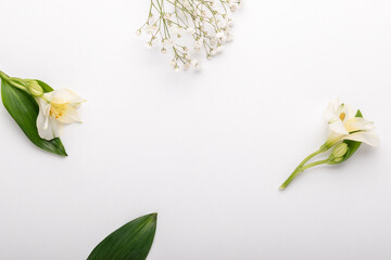 Minimal concept made with flowers on white background.