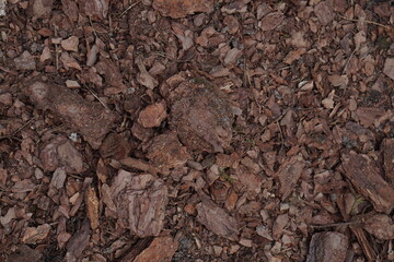 Close-up of tree bark for sprinkling on flower beds