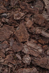 Close-up of tree bark for sprinkling on flower beds