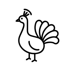 peacock vector illustration