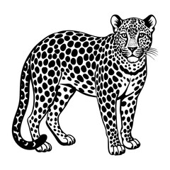 Black and white leopard vector illustration, wildlife animal drawing, big cat outline, jaguar art image