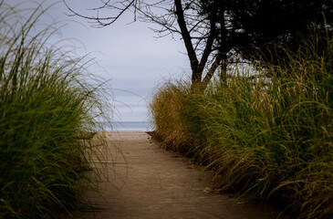 Cloudy autumn morning on the beach on the Baltic Sea	