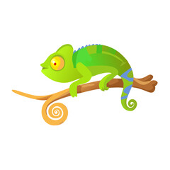 "Ultimate SVG Vector Design Bundle &ndash; Abstract, Geometric, Botanical, Mandala, Minimal, Vintage & Modern Elements for Cricut, Laser Cutting, Sublimation, and DIY Crafts"