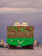 Container ship in Hamburg