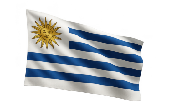 Waving Uruguay flag isolated on transparent background, national symbol, clear