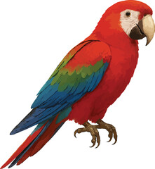 parrot 3d