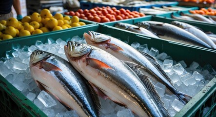 Fresh sea fish on ice at the market