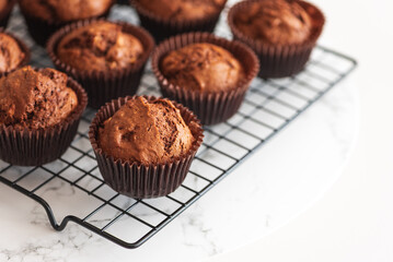Freshly baked chocolate muffins on a cooling rack. Soft focus