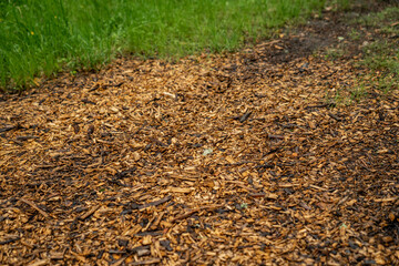 wood chips mulch on forest ground with green grass, organic natural texture for gardening and...