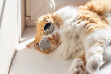 Ginger cat wearing round sunglasses on its face, lying on a white windowsill, illuminated by...