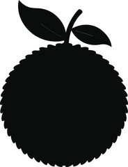 Silhouette of a Rambutan Fruit A Tropical Delight