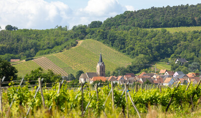 grape field with old town in the background, and Alsace, France, winery