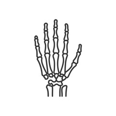 Anatomical Hand Skeleton Outline: Medical Illustration on White Background