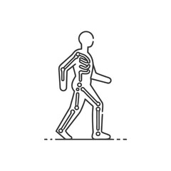 Walking Skeleton: Anatomical Outline of Human Figure in Motion, Medical Illustration
