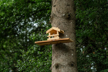 wooden bird feeder attached to tree trunk in green forest park natural background concept of backyard wildlife care handmade feeder eco friendly outdoor decoration forest birds feeding station