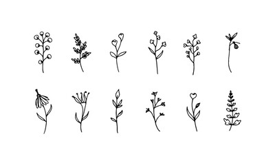 Vertical Flower Stems. A tall composition of hand-drawn flowers and thin stems, great for cards, posters, or pattern building.