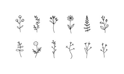 Naklejka premium Thin Line Botanicals. A refined set of narrow botanical sprigs with clean outlines and minimal leaf details, perfect for modern design accents.