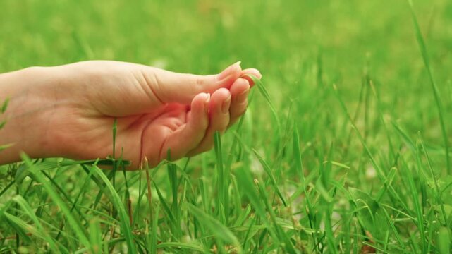 Hand gently touching green grass in a serene outdoor setting during a bright sunny day