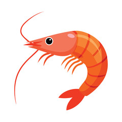 Vector illustration of a shrimp fish isolated on white background