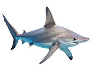 Obraz premium Top View of Hammerhead Shark Gliding in Water with Subtle Light Rays, Isolated PNG