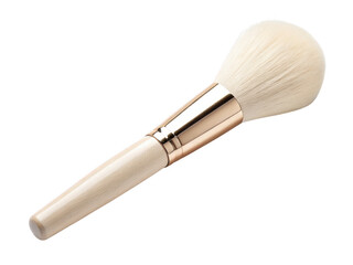 Dolphin swimming png ocean dolphin png sea mammal png playful dolphin png marine animal png underwater dolphin png transparent background image