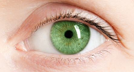 Closeup view of woman with green eyes. Banner design