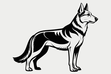 Fototapeta premium Stylized black and white illustration of a german shepherd dog standing alert