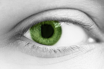 Closeup view of woman with green eyes. Black and white effect