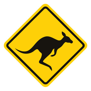 kangaroo warning sign