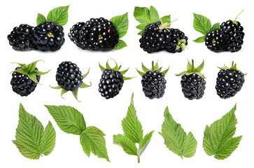 Fresh blackberries and green leaves on white background, collage