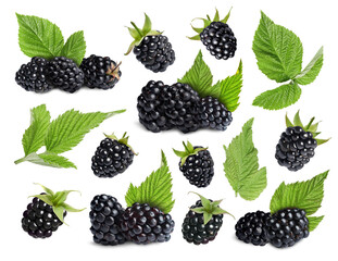 Fresh blackberries and green leaves on white background, collage