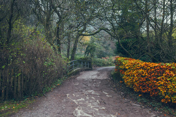 Curved stone bridge along a quiet forest track in Grindleford, with vibrant fall foliage and moody...