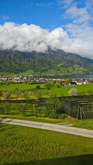 landscape with green fields