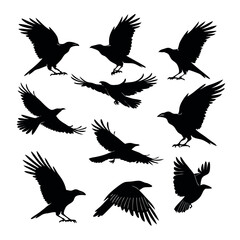 Obraz premium Silhouette Collection Majestic Crows in Flight, Landing, and Perched Poses