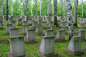 military cemetery with rows of tombstones