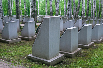 Tombstones in a grove of birch trees in summer