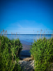 lake and grass osłonino zatoka pucka