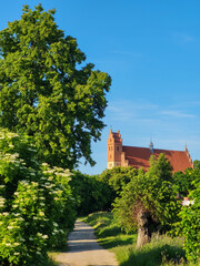 castle in the park żarnowiec