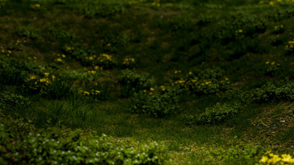 Lush Green Grass with Yellow Flowers Nature Background 3D Render