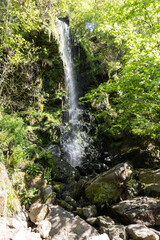 waterfall in the forest
