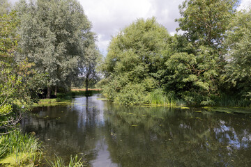 river and reflections