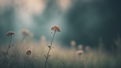Gentle natural background with partial blur in tones, featuring empty copy space for text.