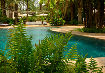 turkusowa woda w basenie, basen w kurorcie tropikalnym z palmami, leżaki nad basenem z turkusową wodą, turquoise water in the pool, pool in a tropical resort with palm trees, sun loungers by the pool  © kateej