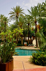 Fototapeta premium turkusowa woda w basenie, basen w kurorcie tropikalnym z palmami, leżaki nad basenem z turkusową wodą, turquoise water in the pool, pool in a tropical resort with palm trees, sun loungers by the pool 